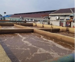 出水氨氮大于進(jìn)水氨氮，怎么回事？