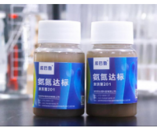 生化系統(tǒng)崩潰，氨氮超標(biāo)，我該怎么辦?