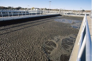 【干貨】泥齡導致的氨氮超標？那這種情況該如何處理呢？