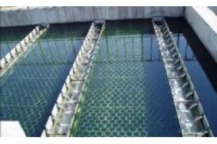 【干貨】生物濾池為什么一受沖擊氨氮去除率就會下降？